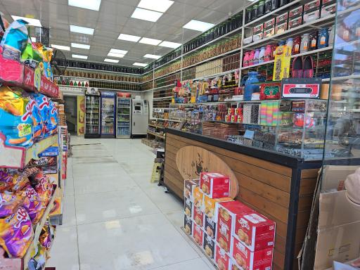 عکس زیتون جباری