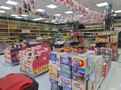 عکس زیتون جباری