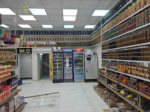 عکس زیتون جباری