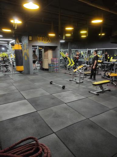 عکس باشگاه ورزشی جسم و اندیشه