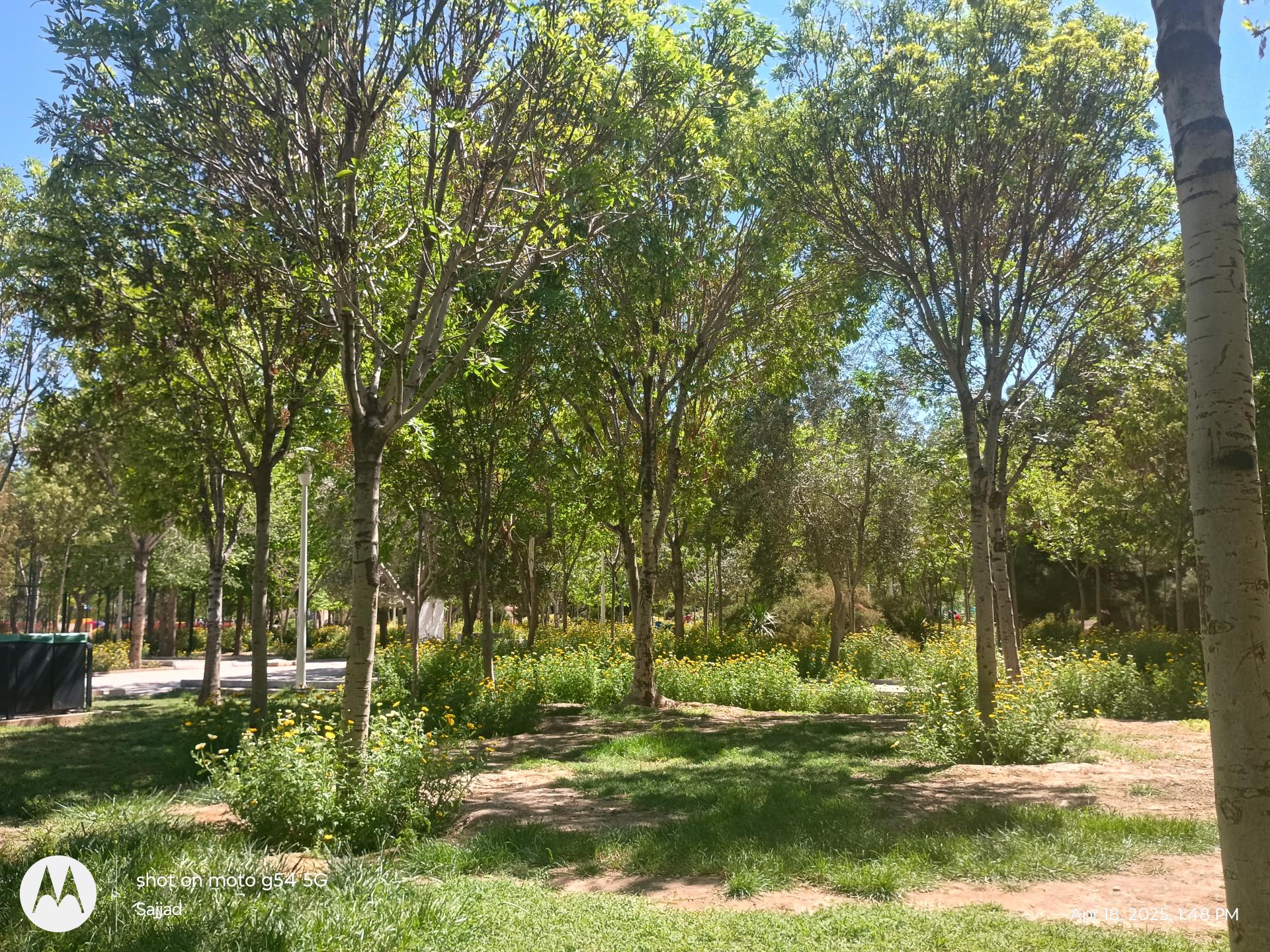 عکس پارک شهریار