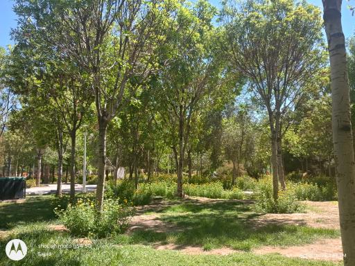 عکس پارک شهریار