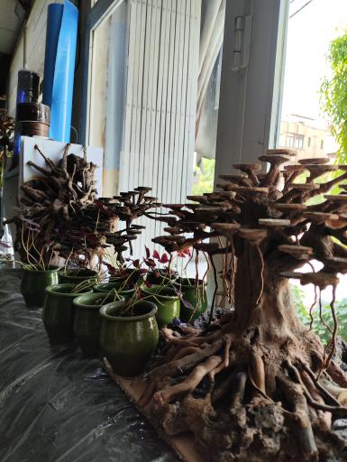 عکس آکواریوم امید