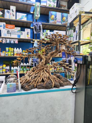 عکس آکواریوم امید