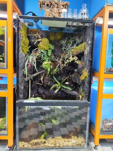 عکس آکواریوم امید