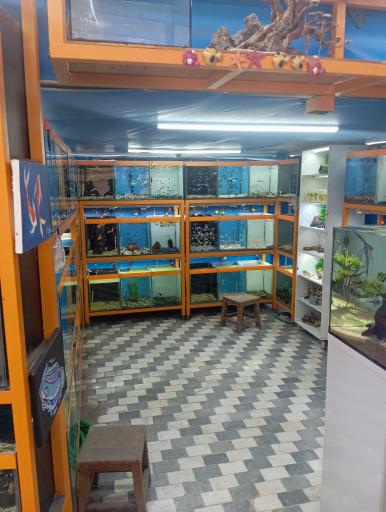 عکس آکواریوم امید