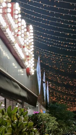 عکس بستنی استوا