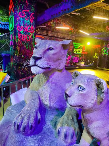 عکس لونا پارک شادی