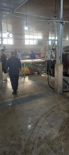 عکس کله پاک کنی باغ رضوان