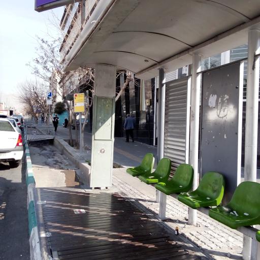 عکس لاله شرقی