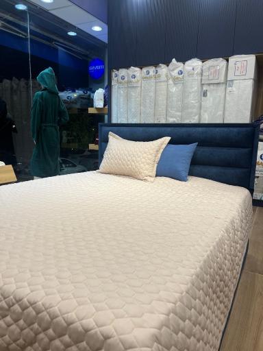 عکس مایسا خانه