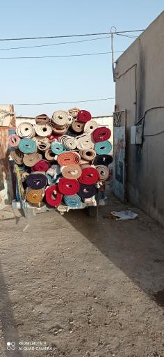 عکس قالیشویی نور 