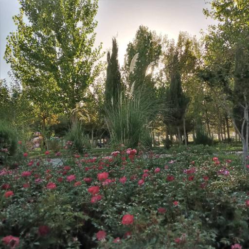 عکس بوستان ورزش