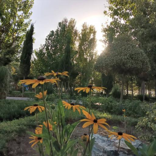 عکس بوستان ورزش