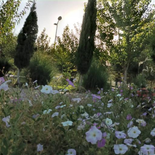 عکس بوستان ورزش