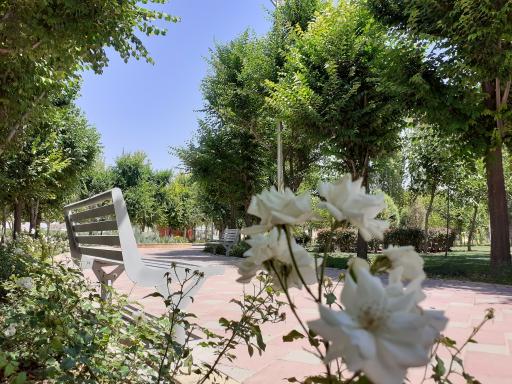 عکس بوستان ورزش