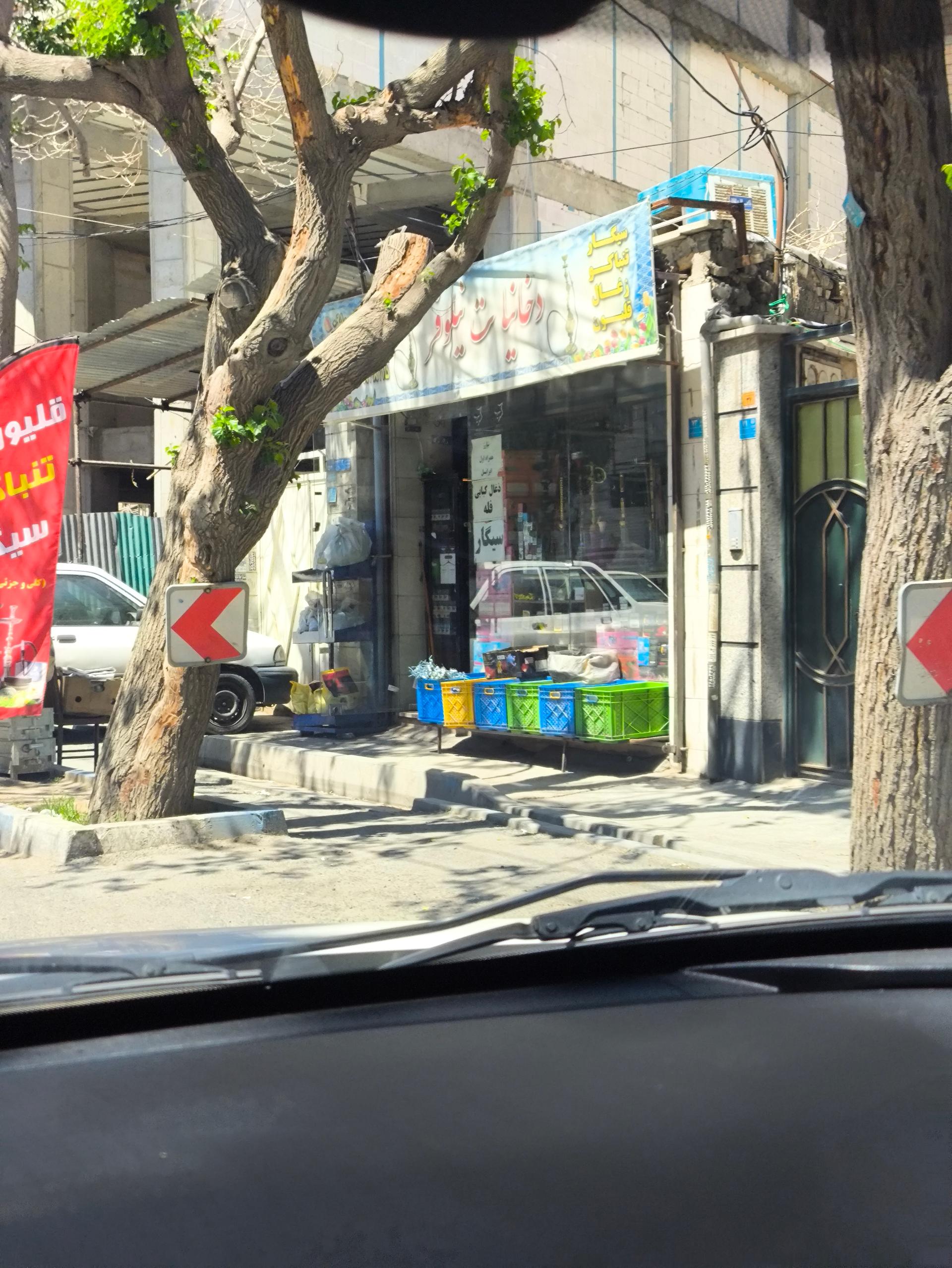 عکس دخانیات نیلوفر