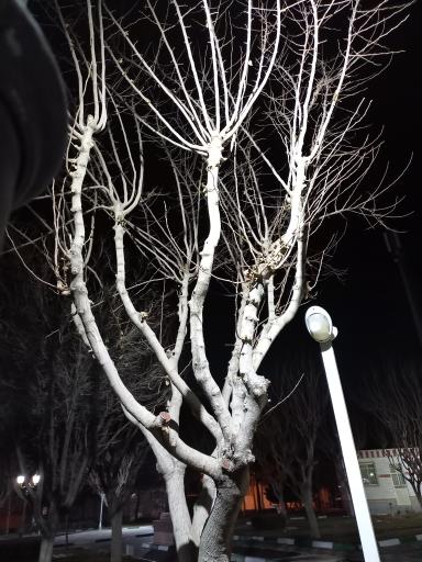 عکس پارک شهید فهمیده