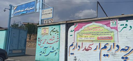 عکس دبستان شاهد