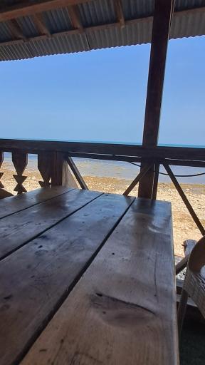 عکس کافه دهکده رامسر