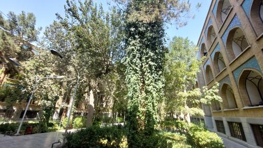 عکس حوزه علمیه دارالشفا