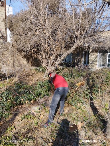 عکس شرکت خدمات نظافتی پیشگام گلشن