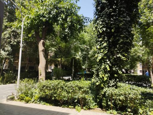 عکس حوزه علمیه دارالشفا