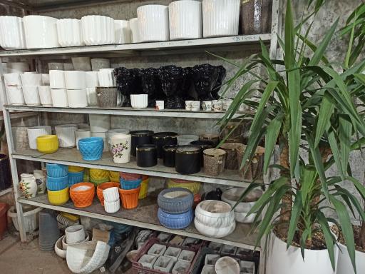 عکس گلخانه البرز