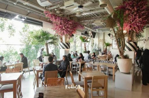 عکس رادیو سیتی لانژ