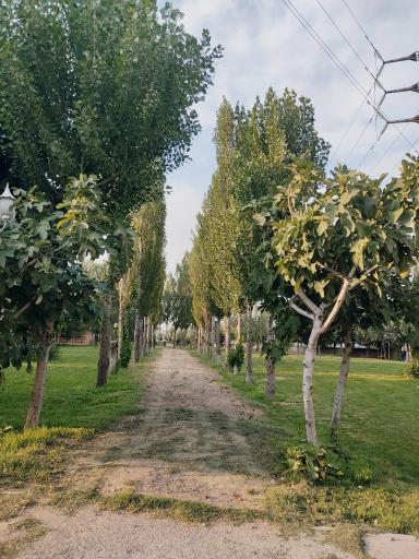 عکس خوابگاه گلستان و بوستان