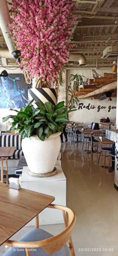 عکس رادیو سیتی لانژ