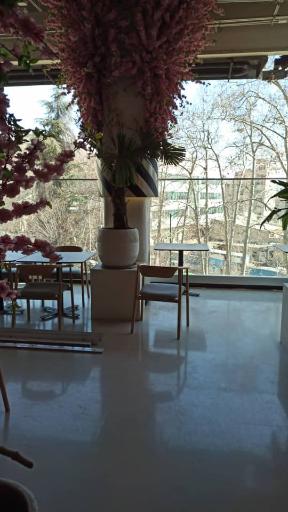 عکس رادیو سیتی لانژ