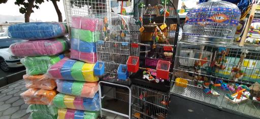 عکس فروشگاه لوازم حیوانات خانگی کیانی