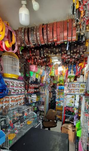 عکس فروشگاه لوازم حیوانات خانگی کیانی
