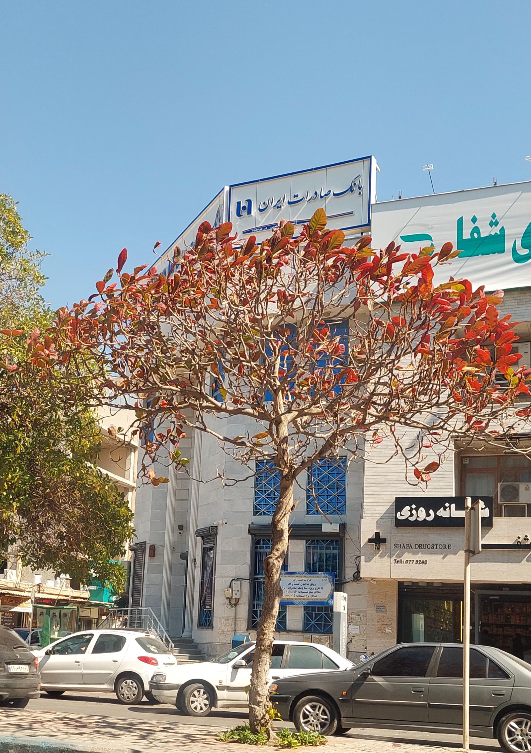 عکس بانک صادرات شعبه سنگی شرقی