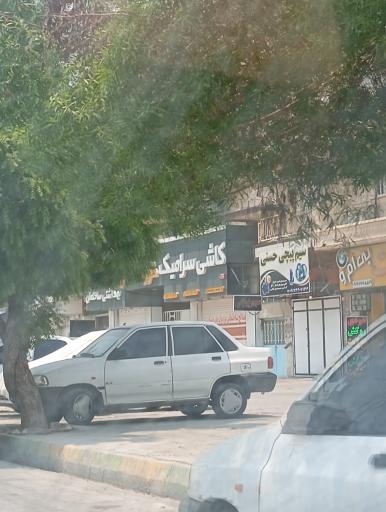 عکس سیم پیچی حسنی