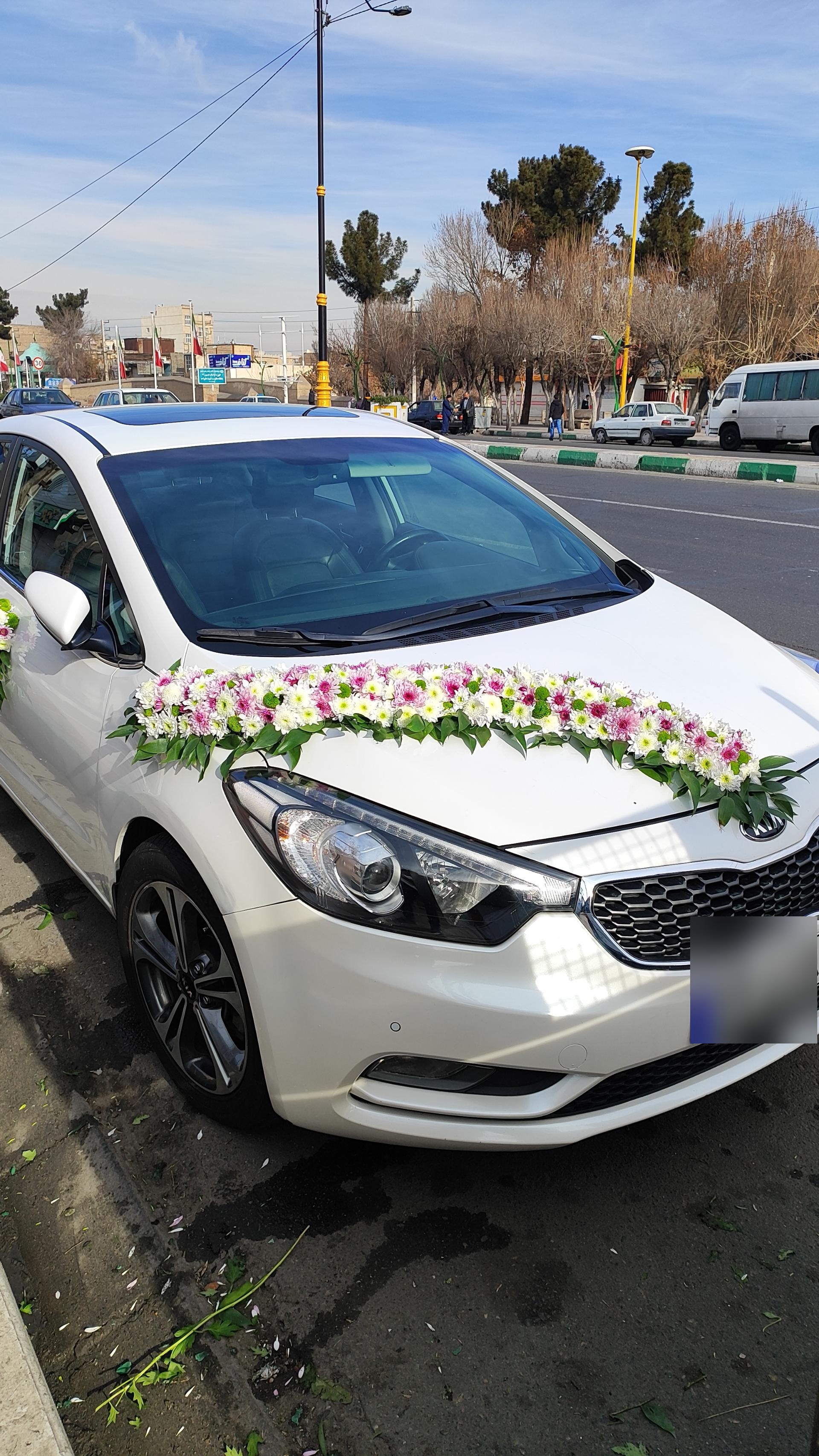 عکس گل فروشی ترنم