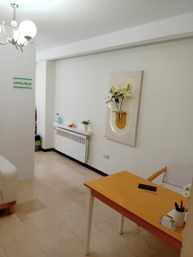 عکس کلینیک زیبایی یروشا