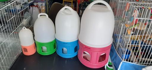 عکس فروشگاه لوازم حیوانات خانگی کیانی