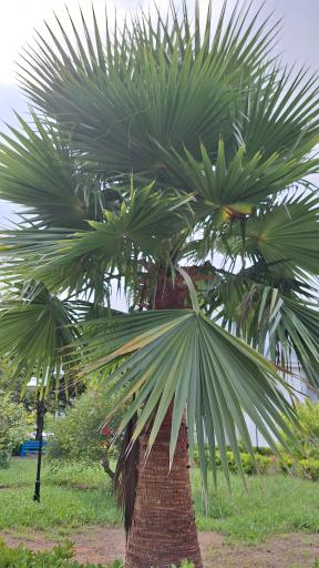 عکس مجتمع تفریحی رفاهی شهید همت