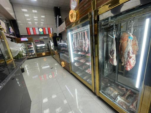 شهر پروتئین مرکزی