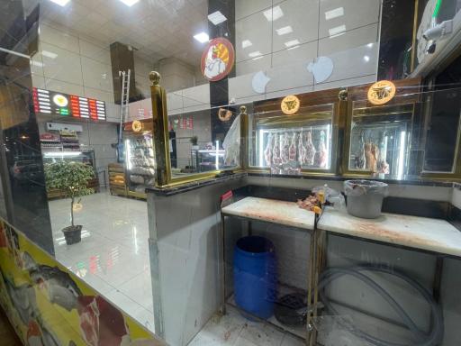 شهر پروتئین مرکزی