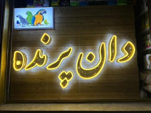 عکس پرنده سرای محسن