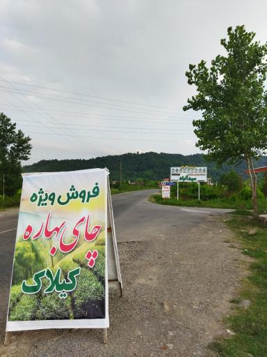 عکس فروشگاه چای سنتی کیلاک