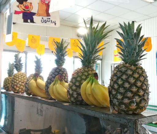 عکس میدان میوه و تره بار بازار شریف