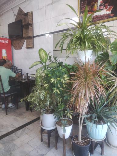 عکس جگرکی و کبابی دهکده