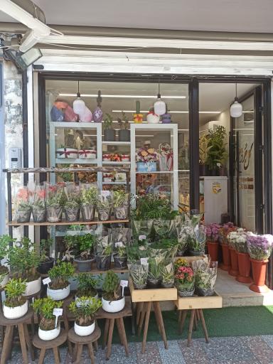 عکس گل جُردن