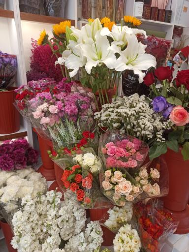 عکس گل جُردن