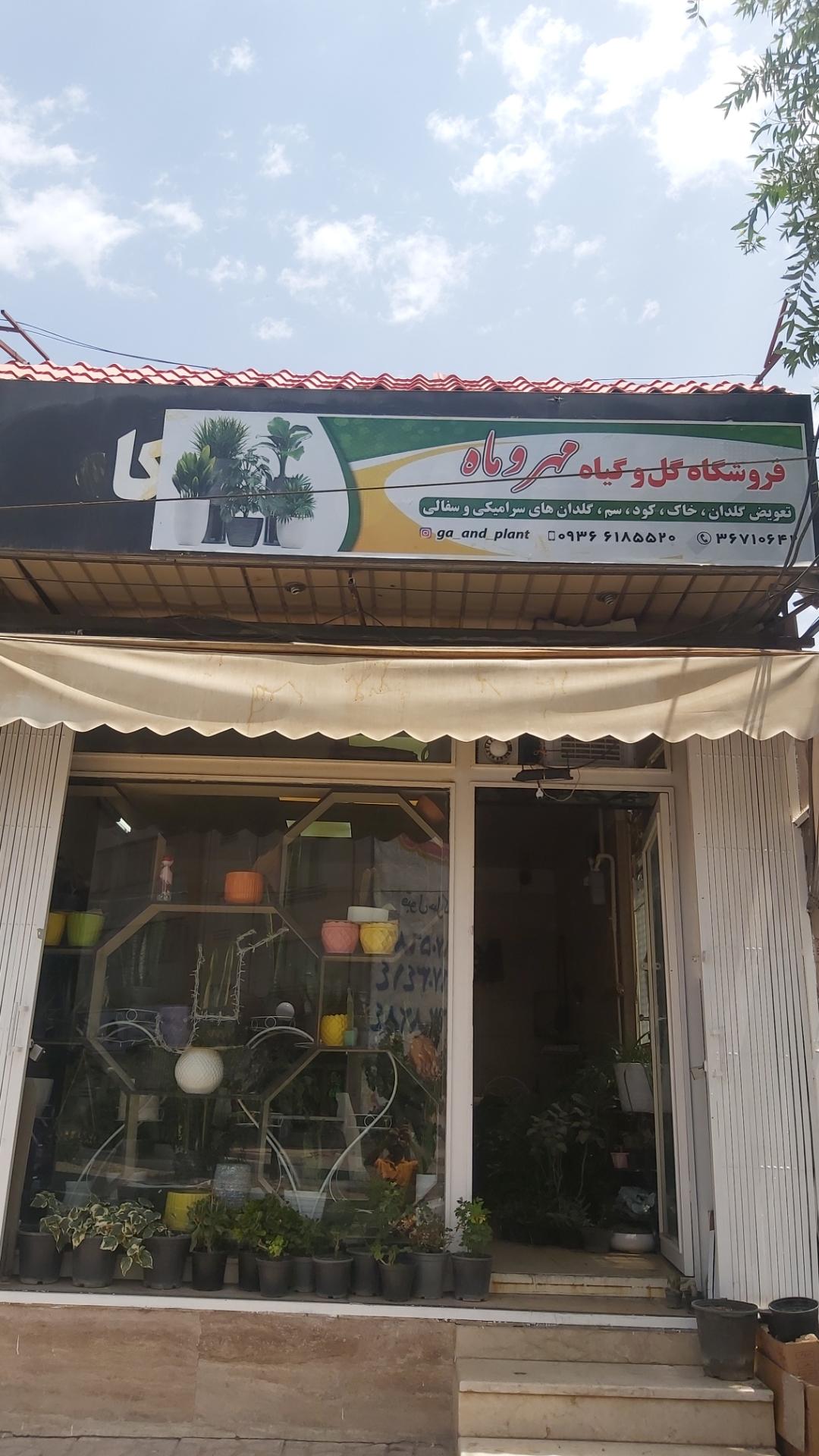 عکس فروشگاه گل و گیاه مهر و ماه
