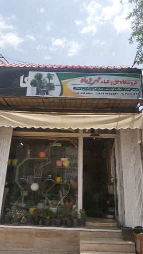 عکس فروشگاه گل و گیاه مهر و ماه